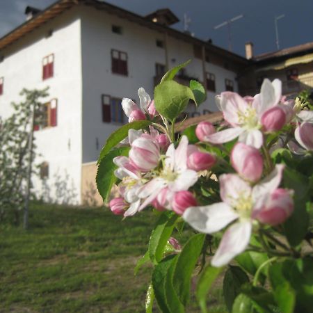 Вилла Agritur Maso San Bartolomeo Romeno Экстерьер фото